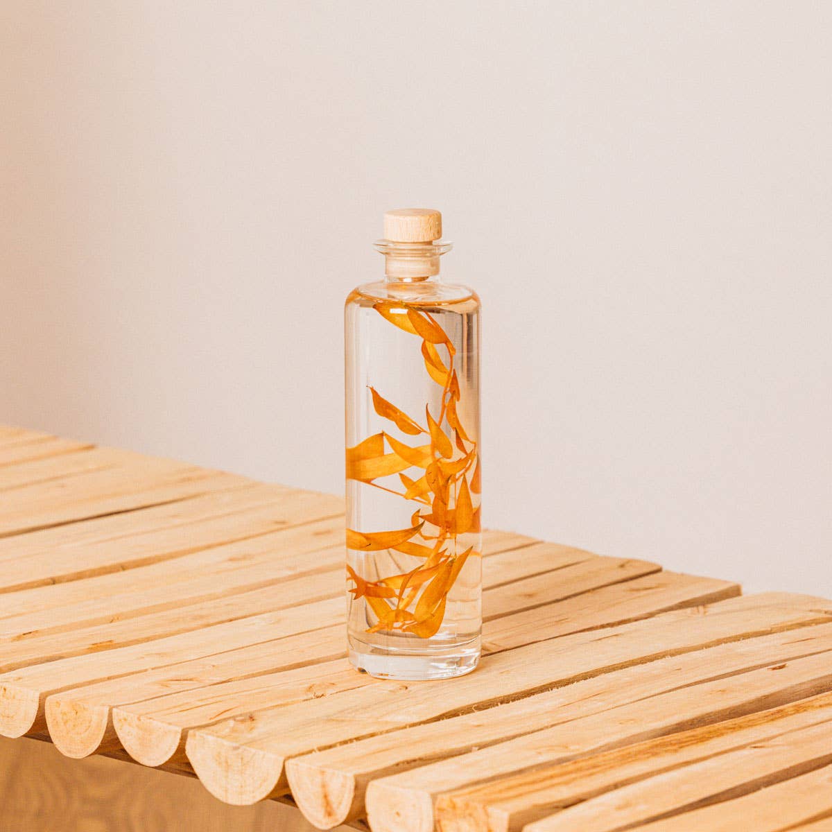 The Herbarium Ruscus Autumnal - Submerged Plant