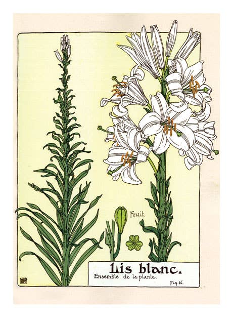 Art Nouveau in Bloom - Everyday Boxed Cards