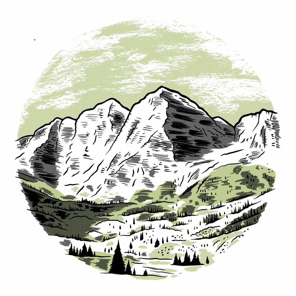 Colorado Rockies Field Guide Book