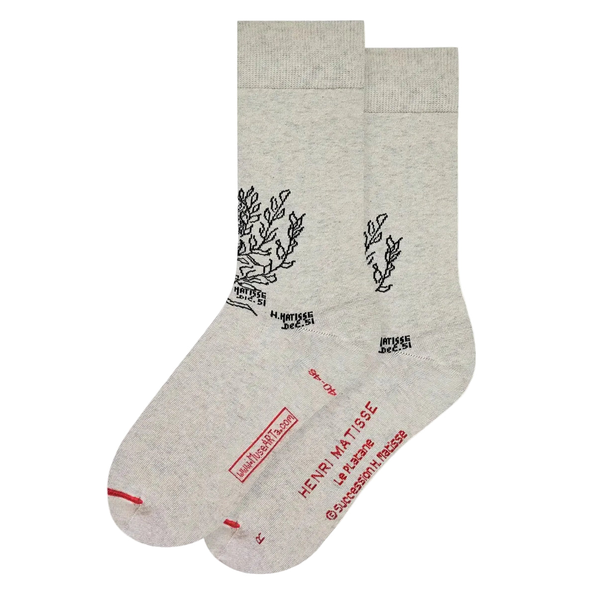 Henri Matisse - The Plane Tree Socks