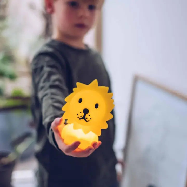 Lion Bundle of Light