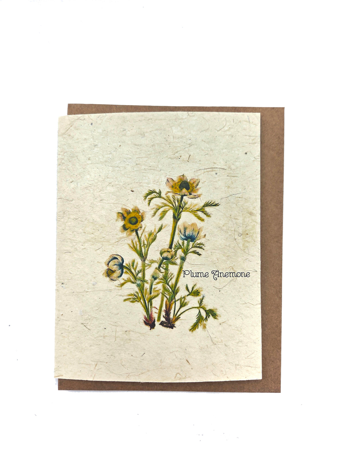 Plume Anemone Plantable Seed Card