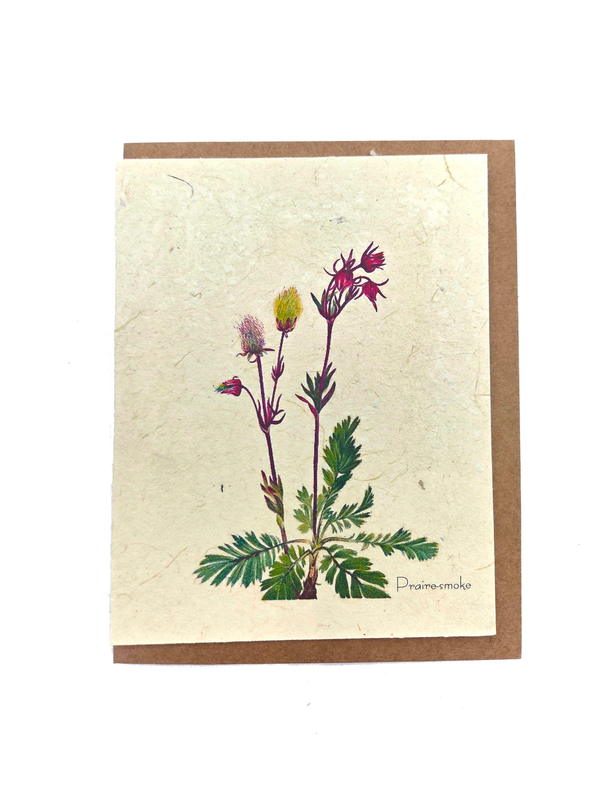 Prairie-Smoke Plantable Seed Card