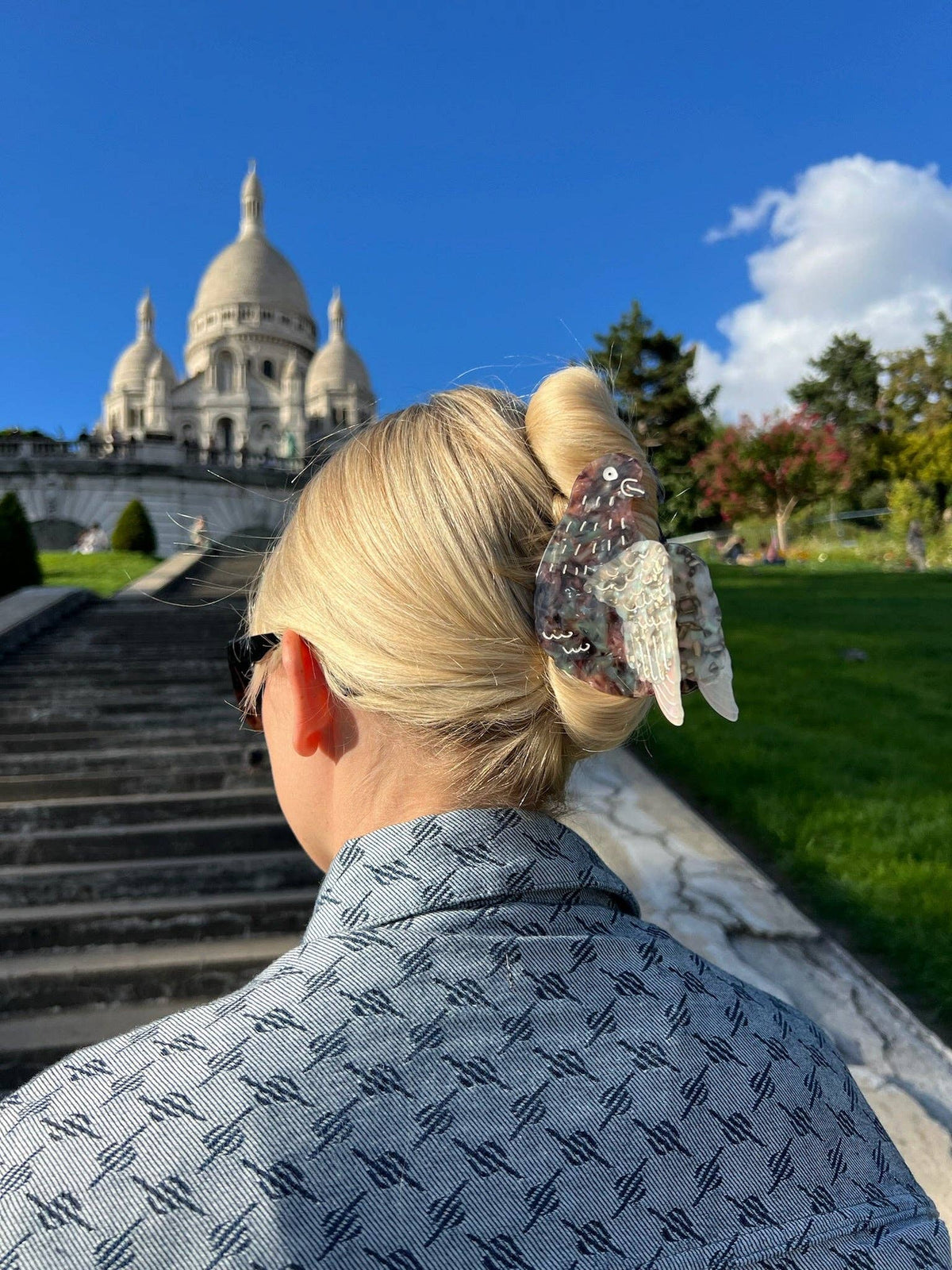 Hand-painted Pigeon Claw Hair Clip