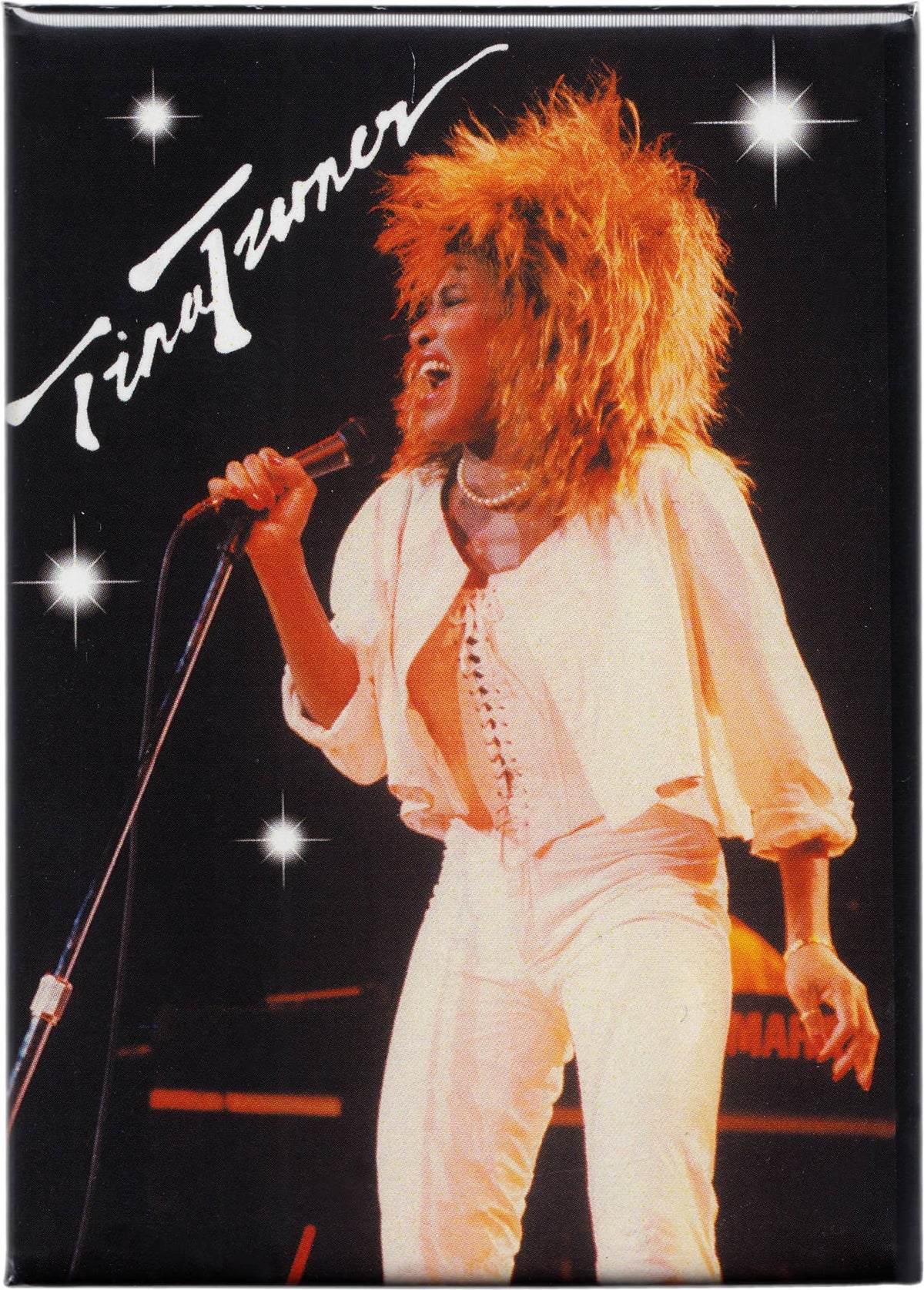 Tina Turner Concert Stage 1970s Magnet