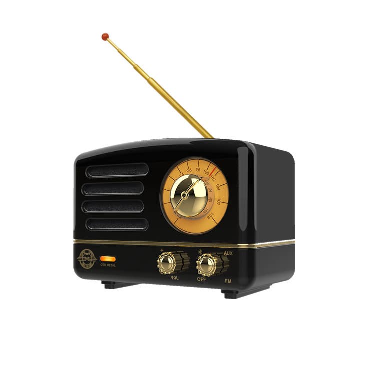Wireless FM Radio Bluetooth Speaker