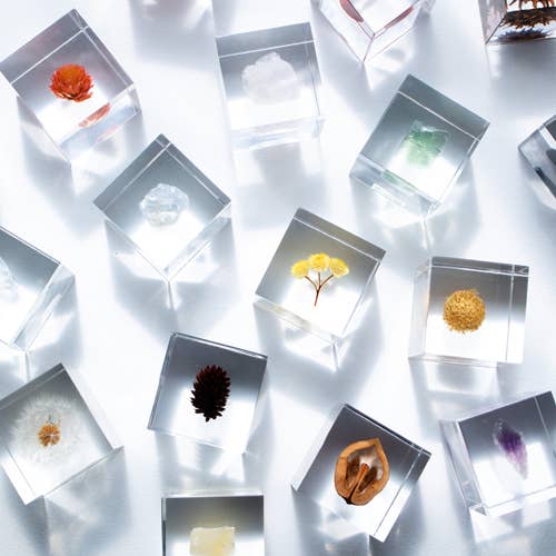 Immortelle Sola Cube