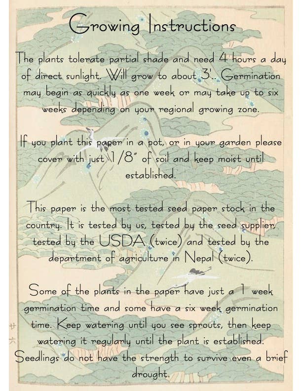 Thank You Butterflies Plantable Seed Card