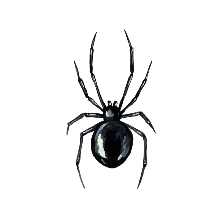 Black Widow Tattoo Pair