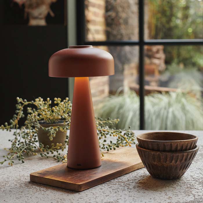 Brown table lamp on a wooden base with bowls and plants in the background