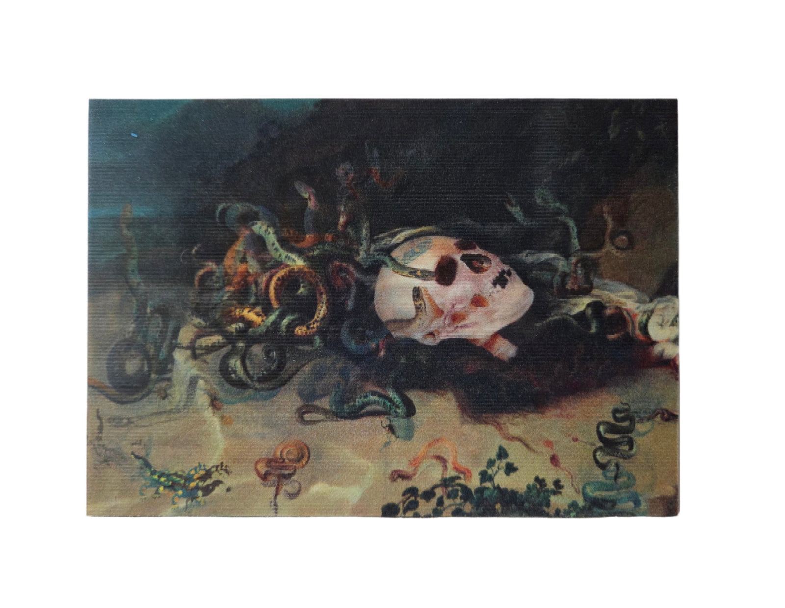 Artistic depiction of a skull with decorative elements on a dark background