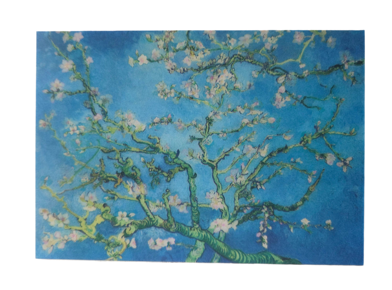 Artistic depiction of a flowering branch against a blue background