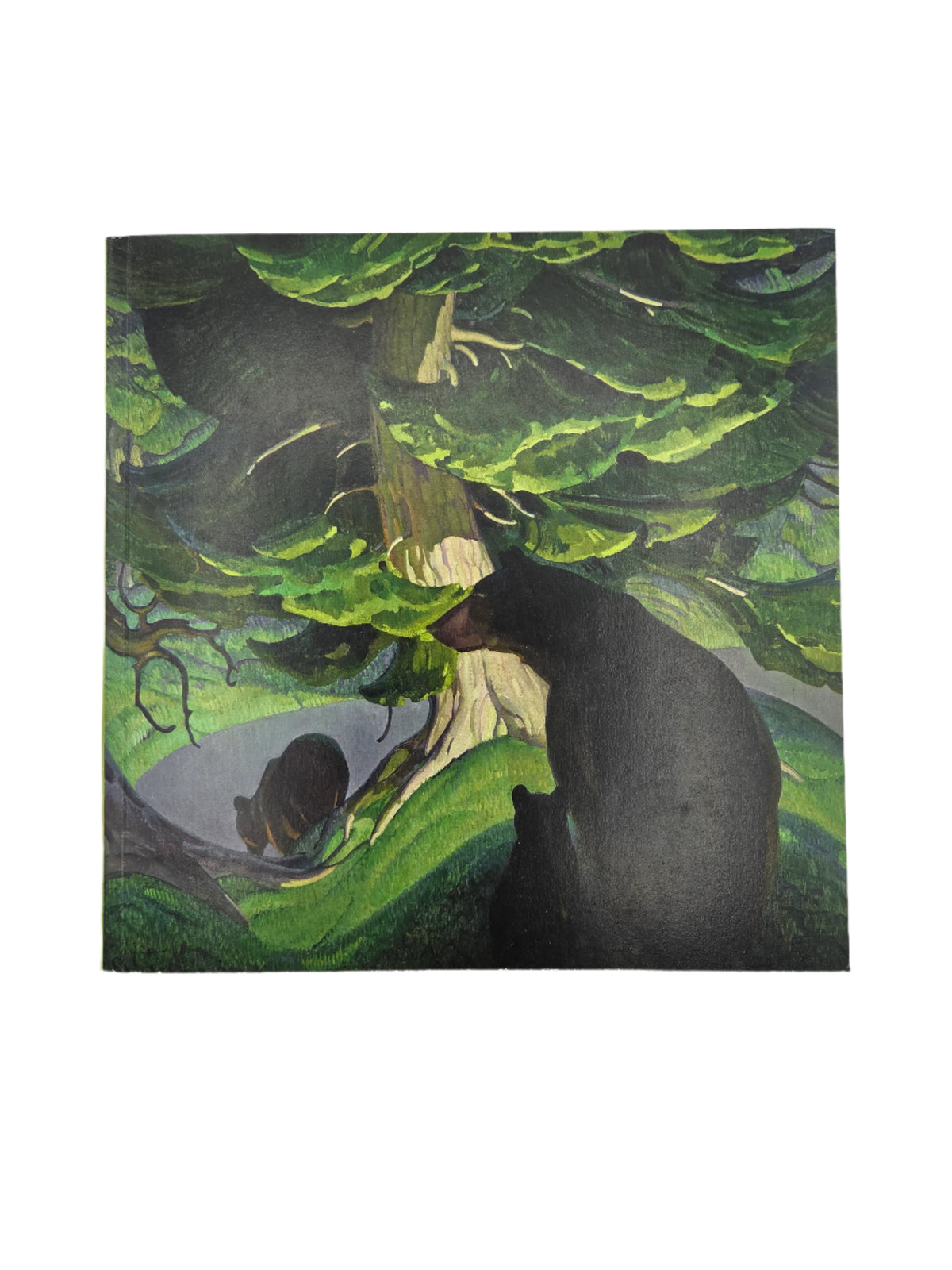 Black Bears by William Herbert Dunton Sketchbook