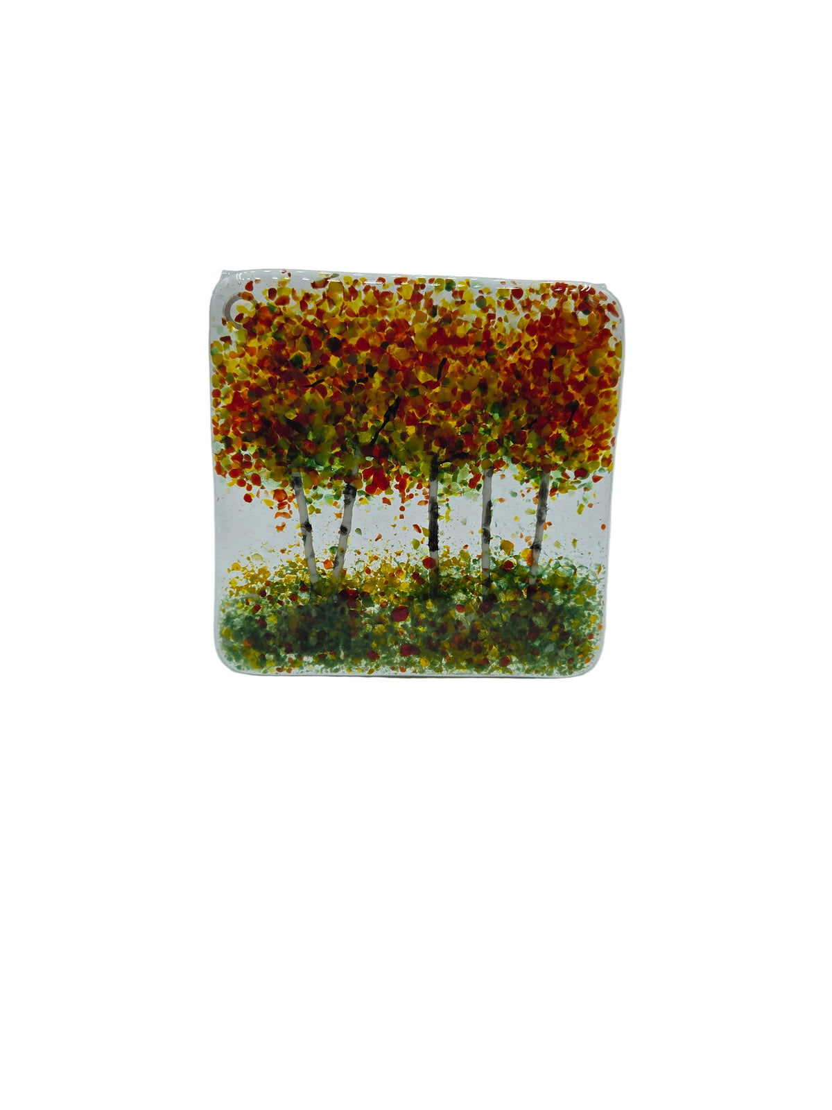 Fall Multi Aspen Coaster