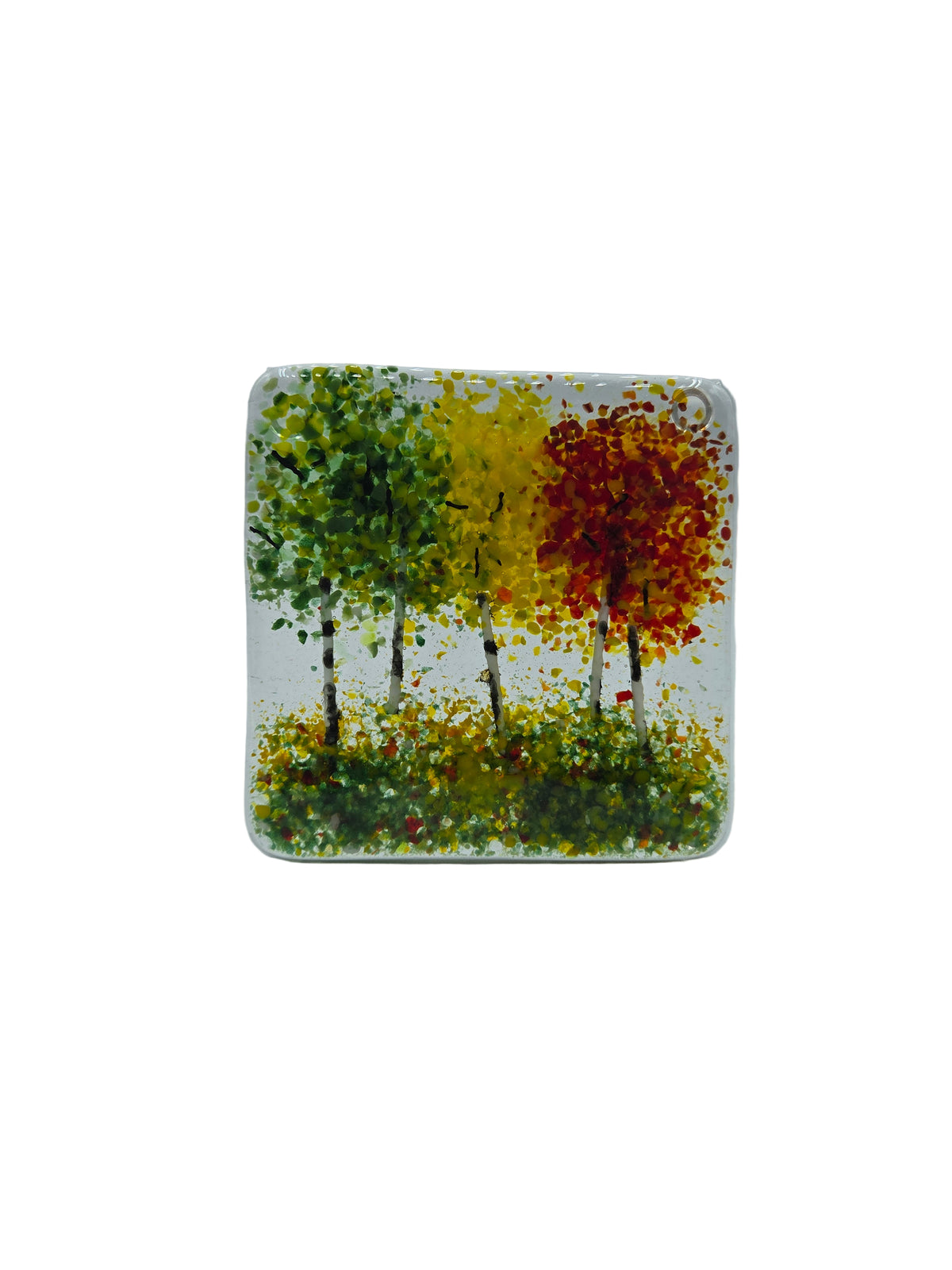 3 Seasons Aspen Coaster