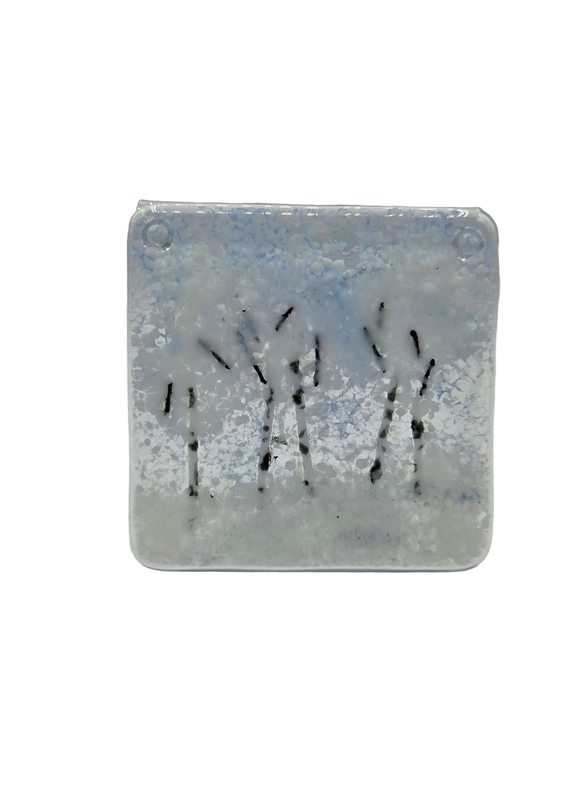 Winter Aspen Coaster