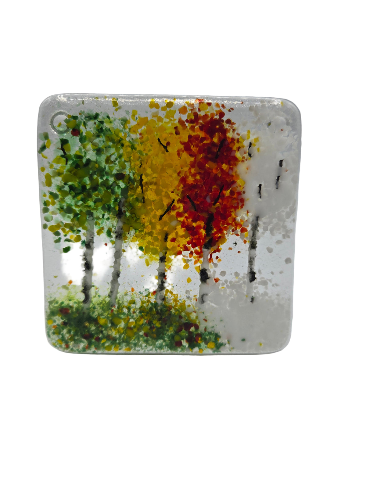 4 Seasons Aspen Coaster