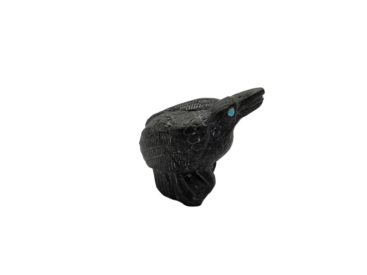 Black Raven with Turquoise by Derrick Kaamasee
