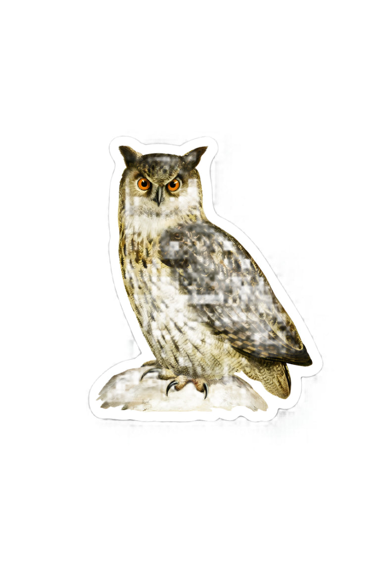 brown owl with red eyes on a branch