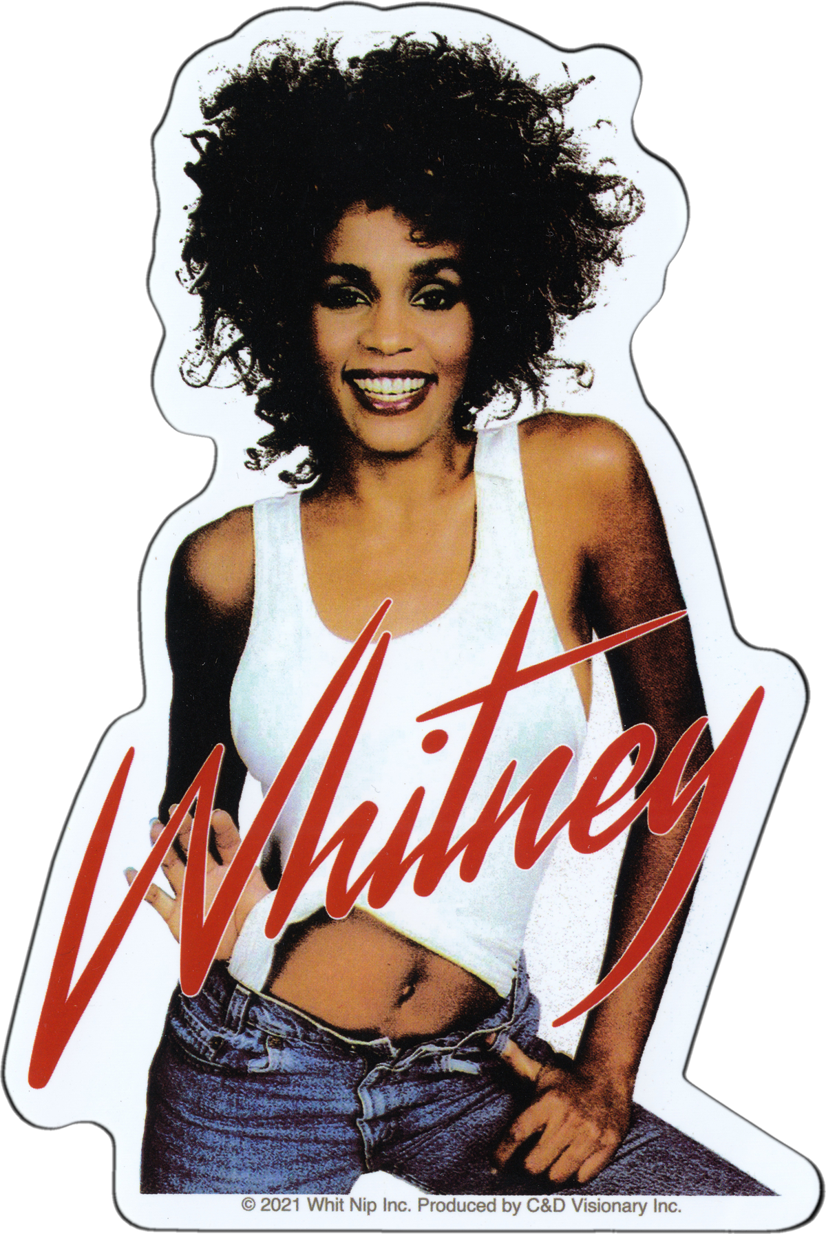 Whitney Houston Sticker
