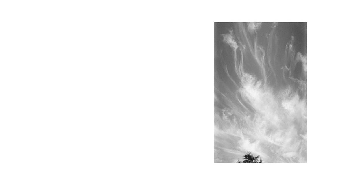 Robert Adams: Along The Canadian Border