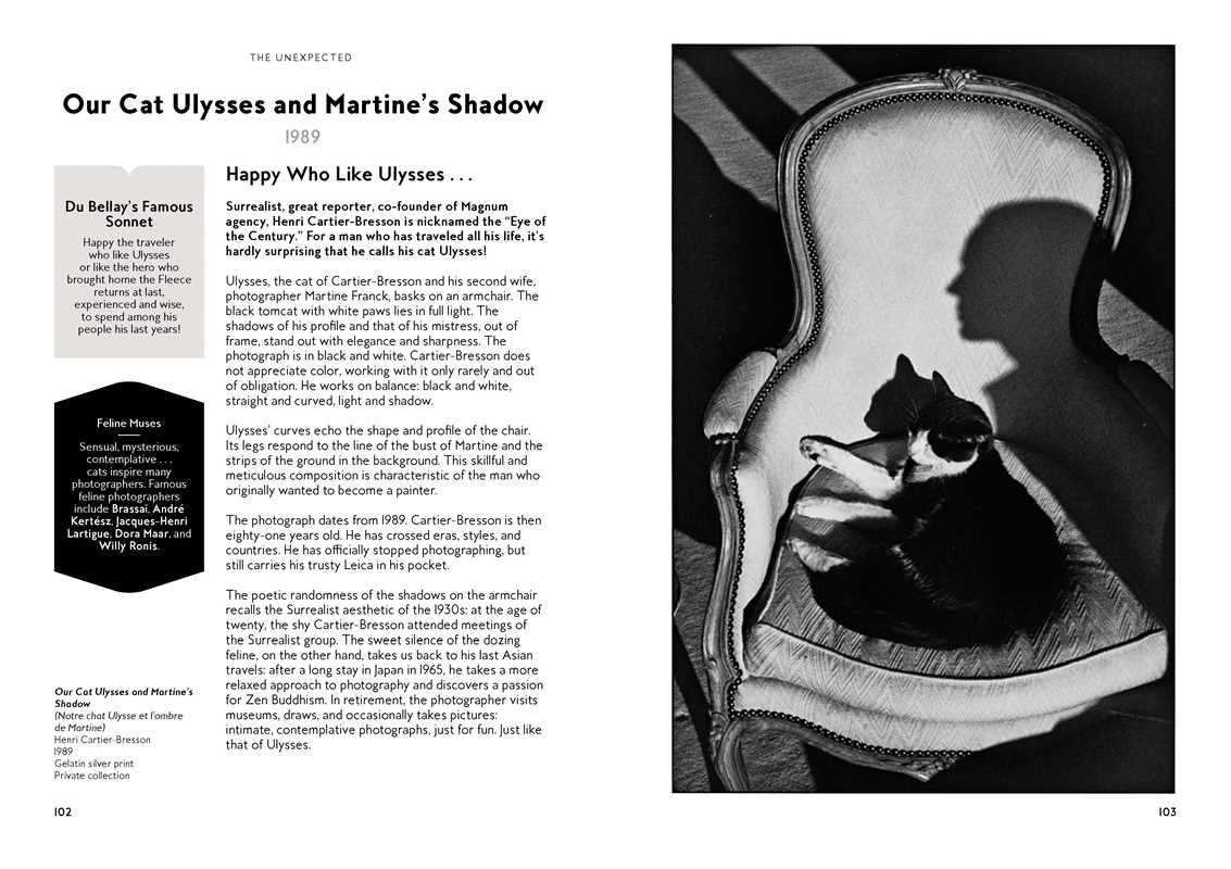 Cats in Art by Alix  Paré