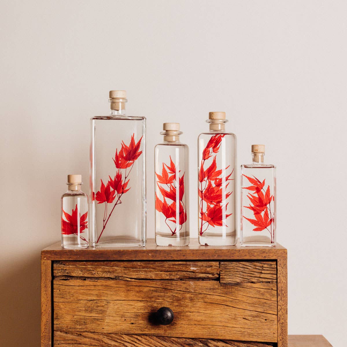 Red Maple Herbarium submerged plant