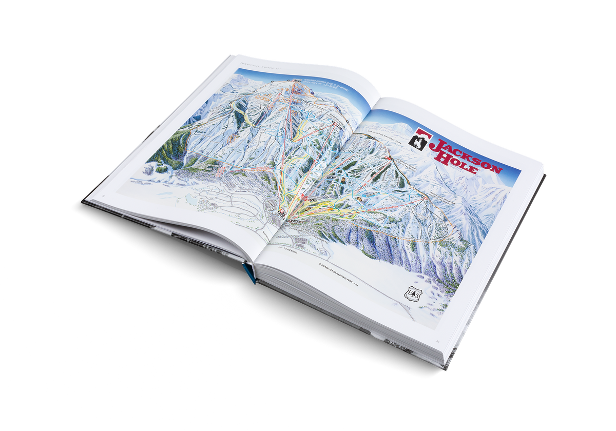 The Ultimate Ski Book