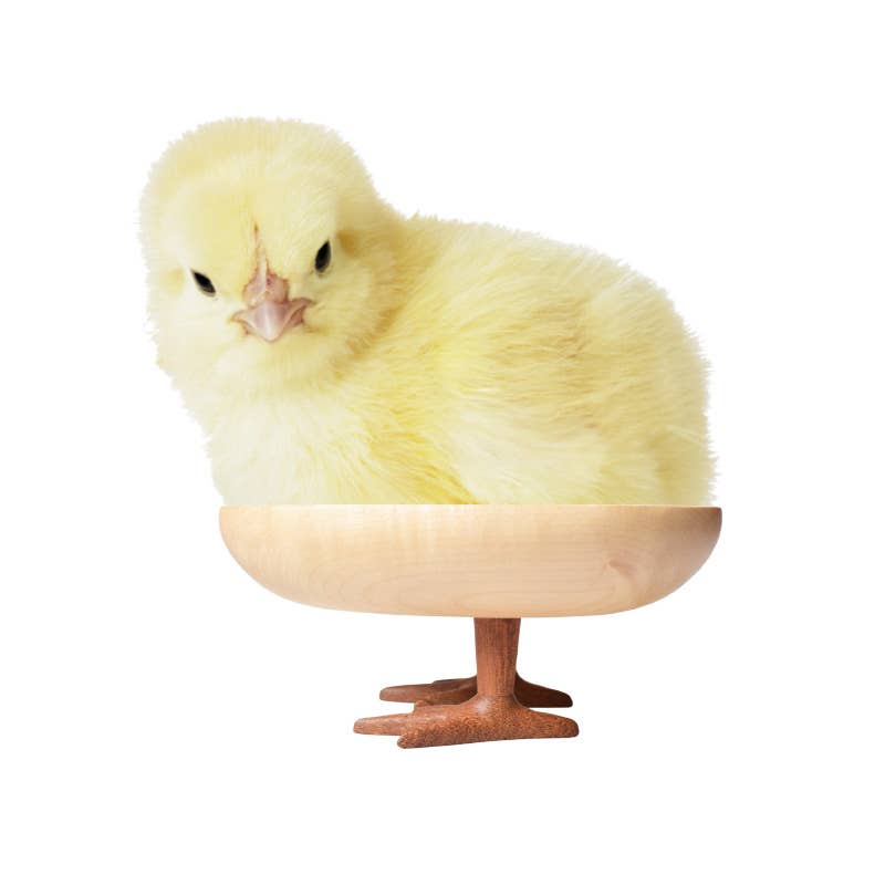 Walking Egg Tray