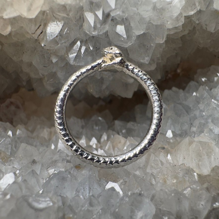 Ouroboros Snake Ring
