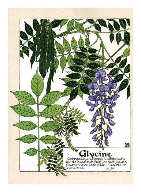 Art Nouveau in Bloom - Everyday Boxed Cards