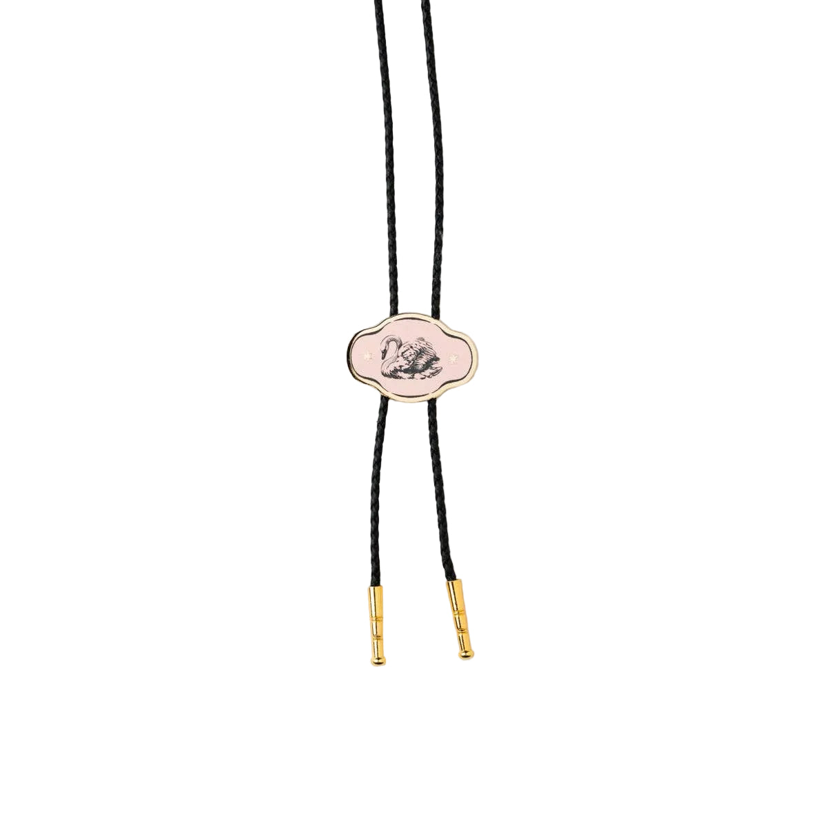 Swan Bolo Tie with Bird World