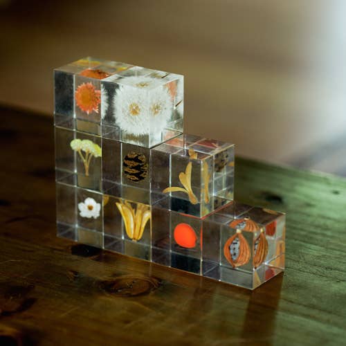 Immortelle Sola Cube