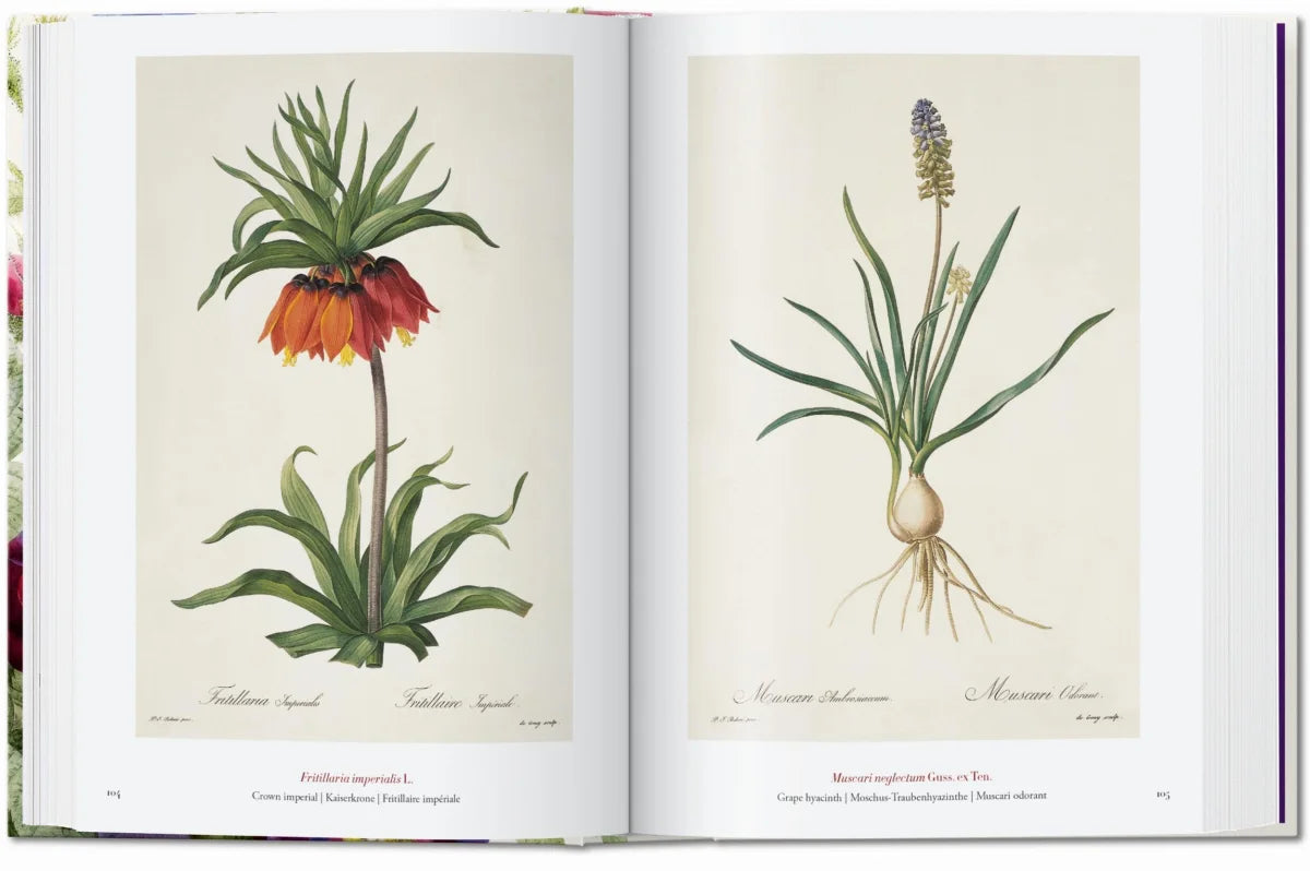 The Book of Flowers Pierre-Joseph Redoute