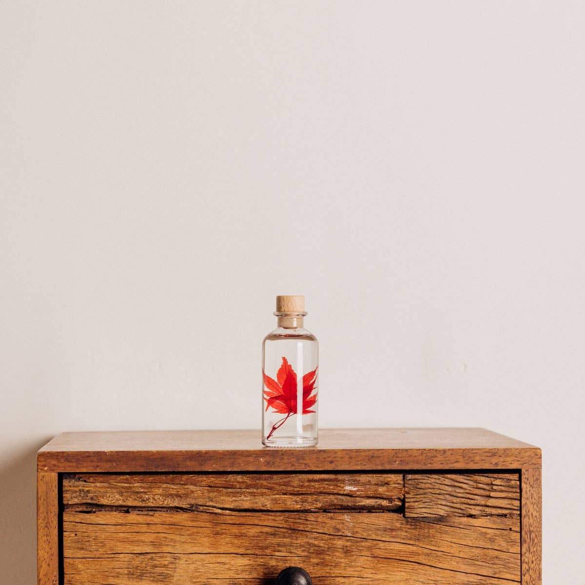 Red Maple Herbarium submerged plant