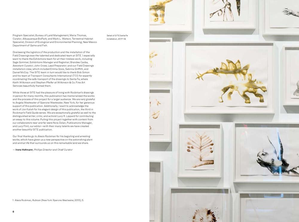 Alexis Rockman: New Mexico Field Drawings