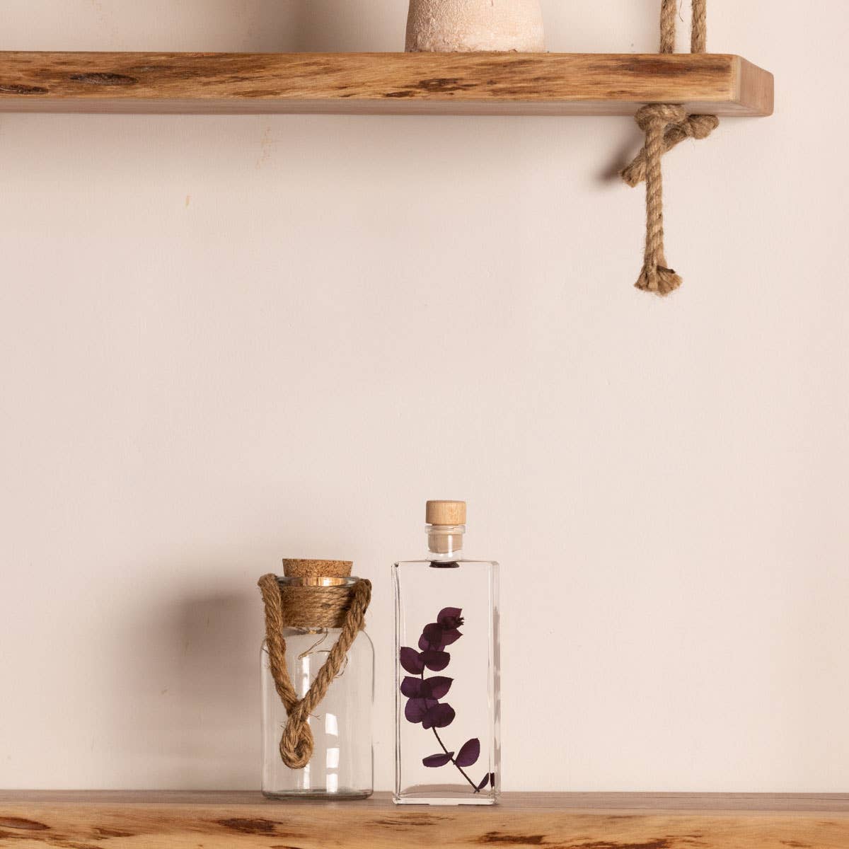 L&#39;Herbarium Eucalyptus Violet - Submerged Plant