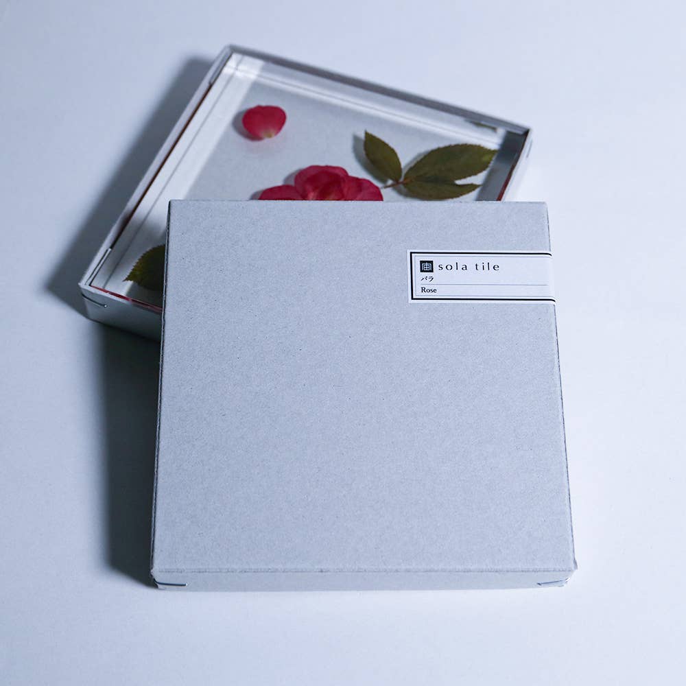 Rose / Large Sola Cube