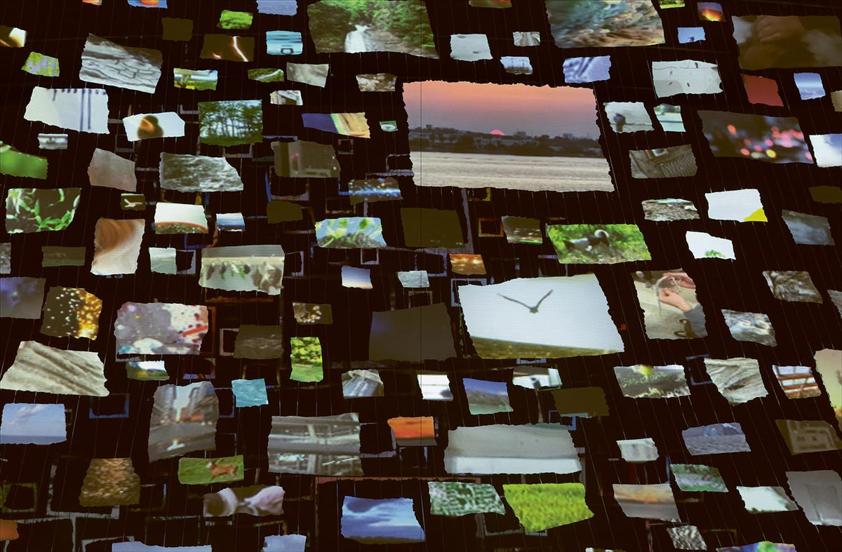Sarah Sze
