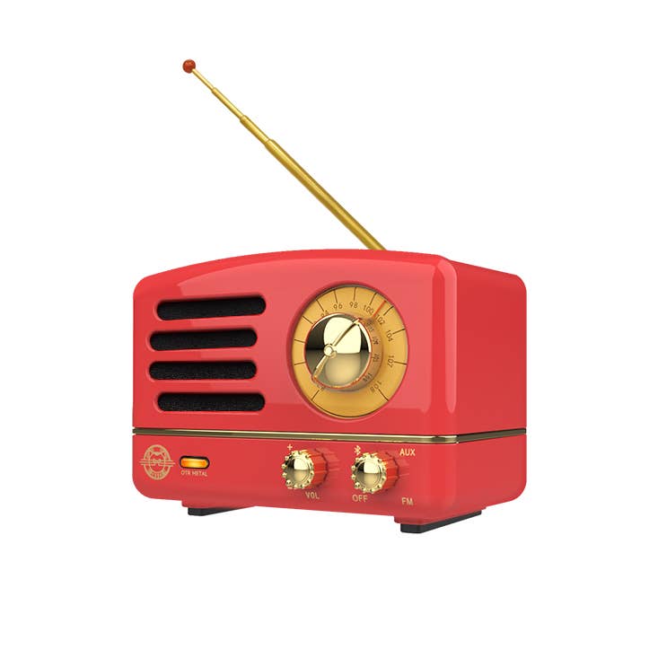 Wireless FM Radio Bluetooth Speaker