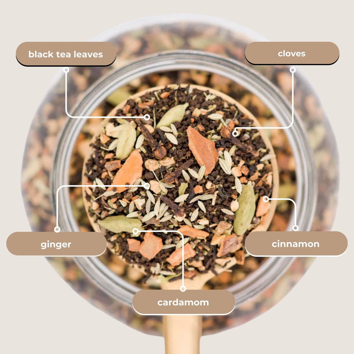 Tae's Chai Black Tea Mini Tea Tube