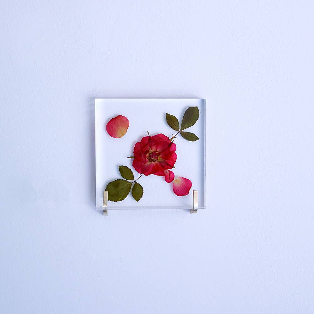 Rose / Large Sola Cube