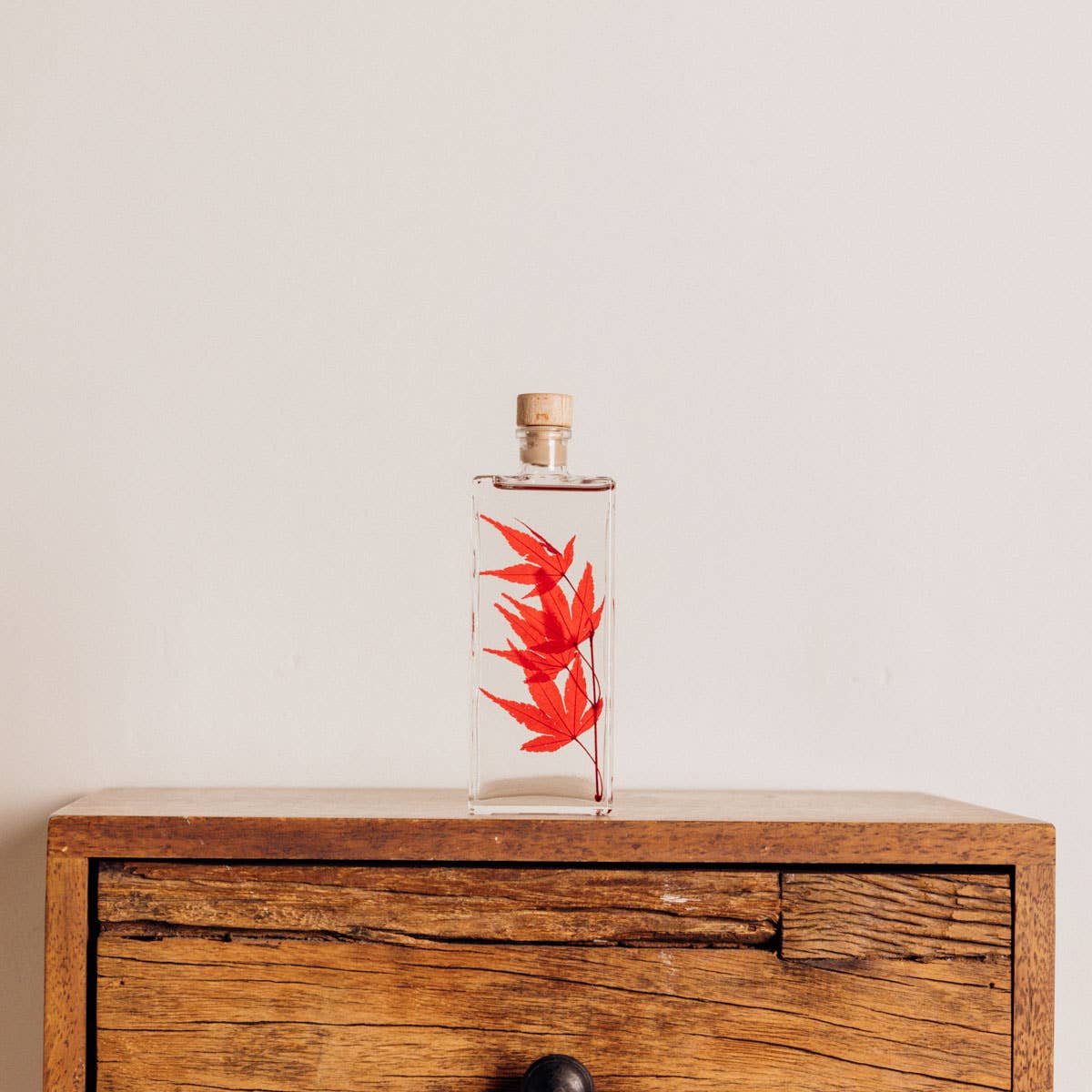 Red Maple Herbarium submerged plant
