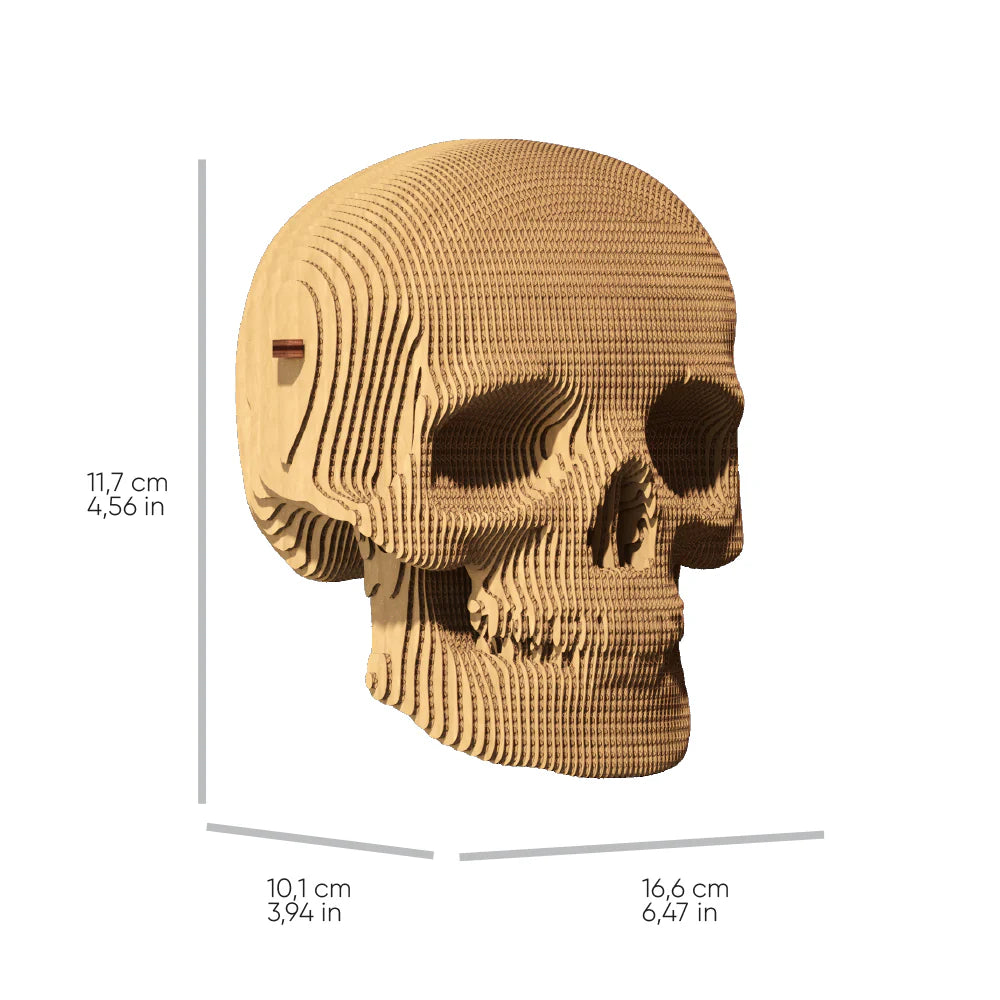 Skull 3D Puzzle