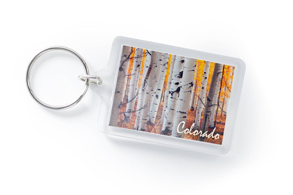 Colorado Aspen Trees Keychain