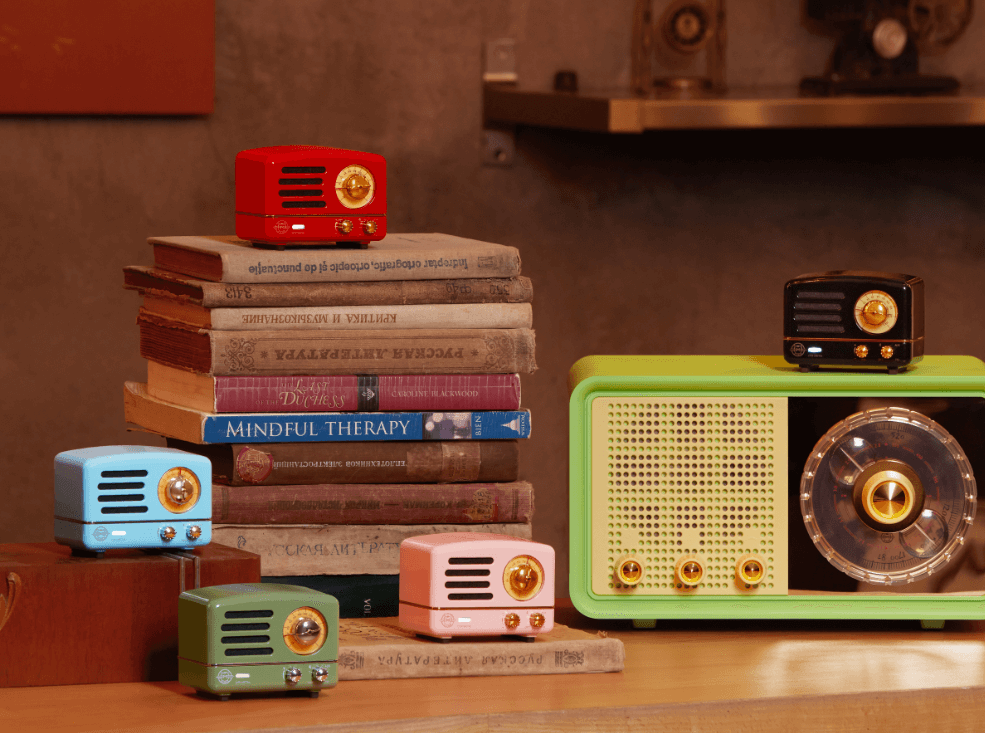Wireless FM Radio Bluetooth Speaker