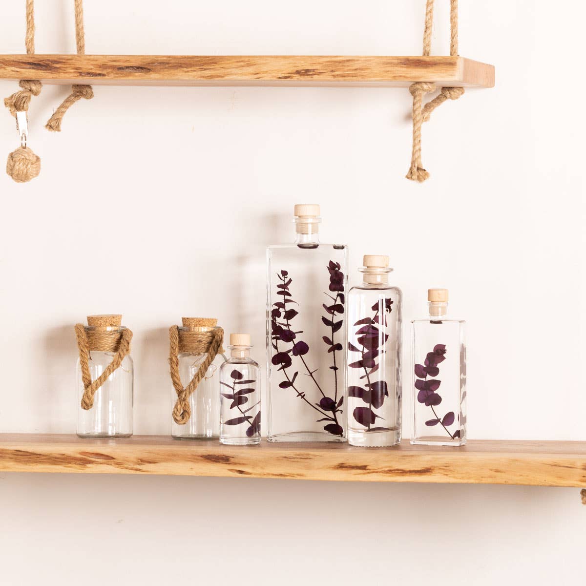 L&#39;Herbarium Eucalyptus Violet - Submerged Plant