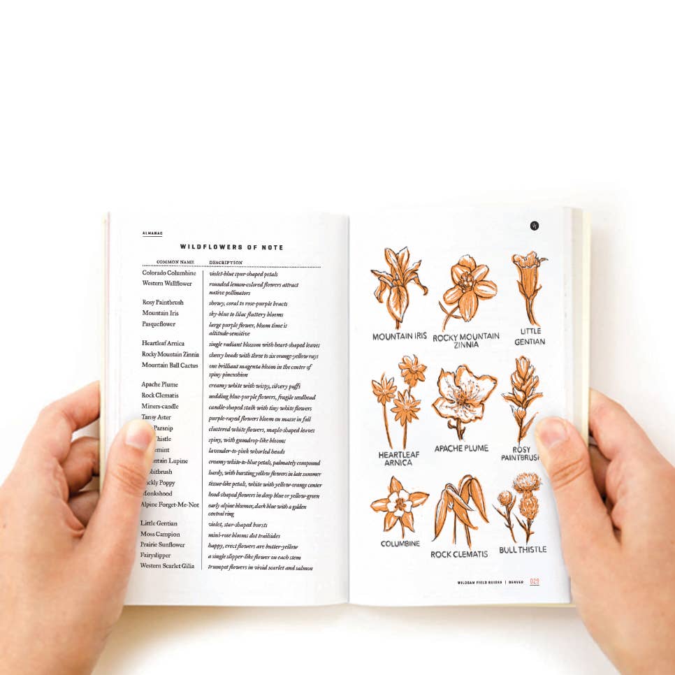 Denver Field Guide Book