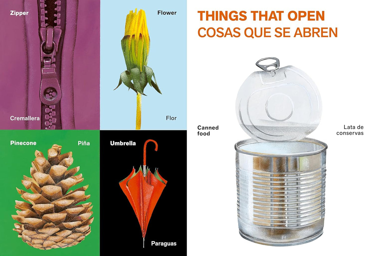 All Kinds of Things/Todo tipo de cosas