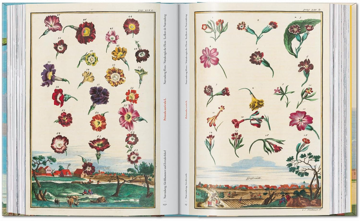 J. C. Volkamer. The Book of Citrus fruits. 45th Edition